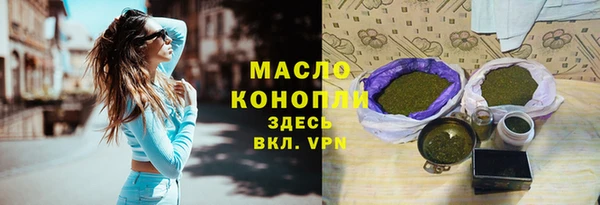 тгк Дмитров