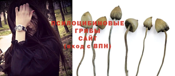 mix Дмитровск