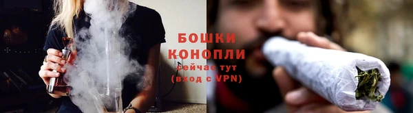 тгк Дмитров