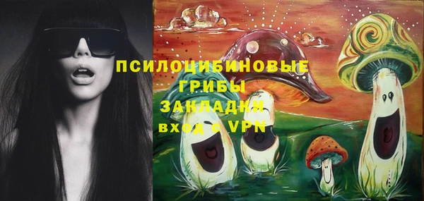 марки lsd Дмитриев