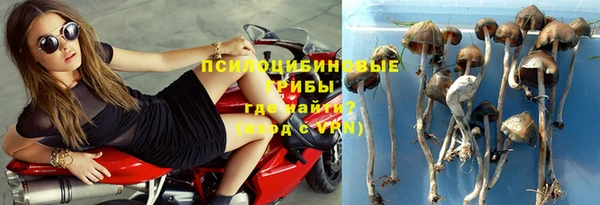 тгк Дмитров