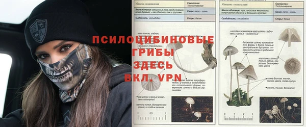 тгк Дмитров