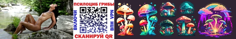МЕГА вход  Рубцовск  Псилоцибиновые грибы Magic Shrooms 